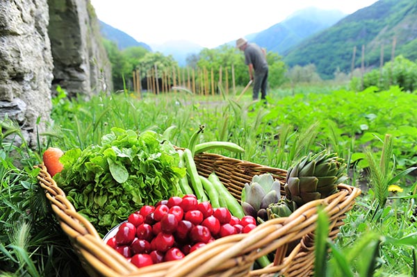 agricoltura biologica e valori